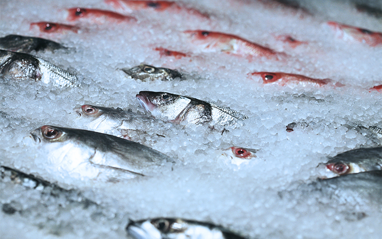 H947手持终端助力生鲜冷链管理 H947手持终端助力生鲜冷链管理